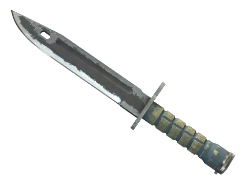 ★ Bayonet | Night (Battle-Scarred)